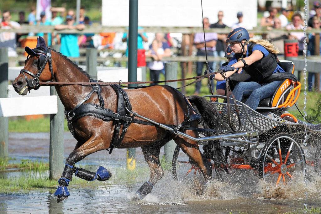 Beesd: NK ponymennen: marathon brengt verschuivingen